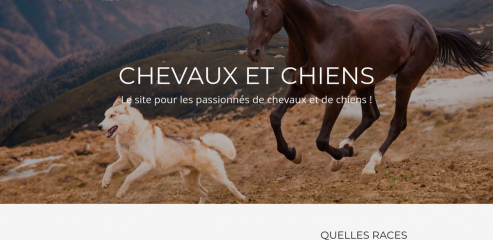 https://www.chevaletchien.fr