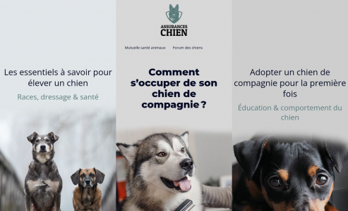 https://www.assuranceschien.fr