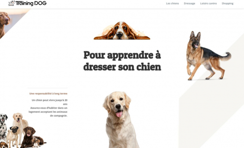 https://www.training-dog.fr